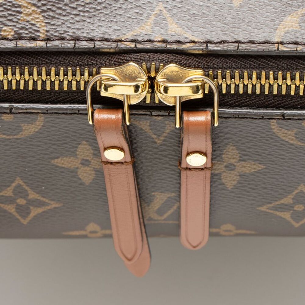 Louis Vuitton Monogram Canvas Loop Hobo - Picture 8 of 13